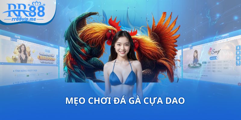 Mẹo chơi đá gà giúp bạn dễ dàng thắng thưởng to