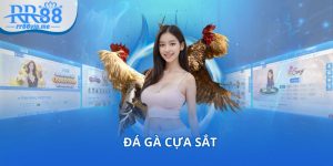 Dàn đề 38 con là như thế nào?