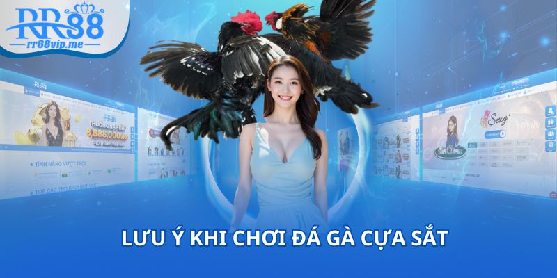 Những lưu ý này giúp bạn có trải nghiệm trọn vẹn hơn khi chơi đá gà cựa sắt