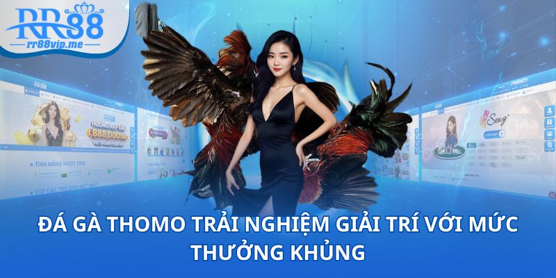 Đá gà Thomo trải nghiệm giải trí với mức thưởng khủng