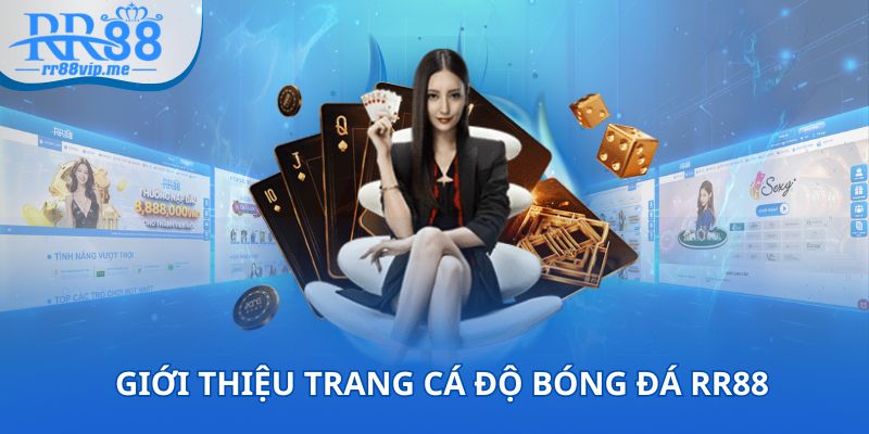 Thông tin sơ lược cần biết về trang cá độ bóng đá RR88