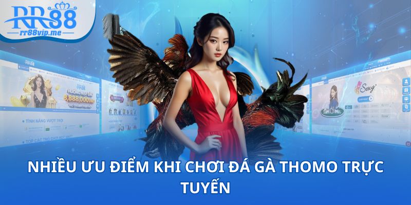 Nhiều ưu điểm khi chơi đá gà Thomo trực tuyến